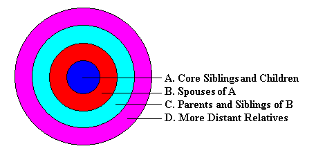 Kinship structure of a San camp