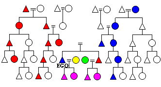 Figure 33: Ambilineal Descent Groups