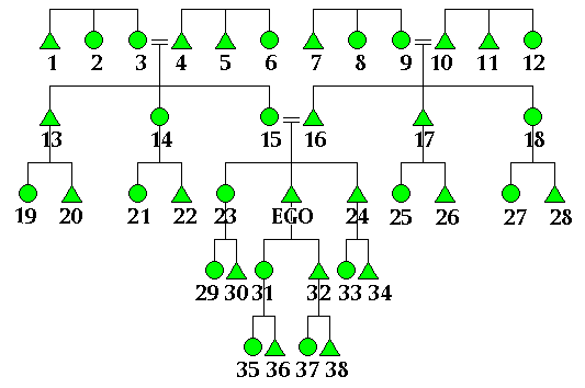 Figure 19: Bilateral Kinship Network (Kindred)