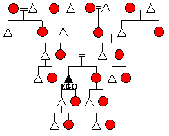 Post VII impediments