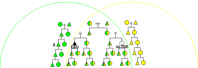 overlapping kindreds