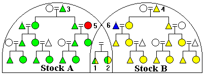 Figure 22: Overlapping Stocks
