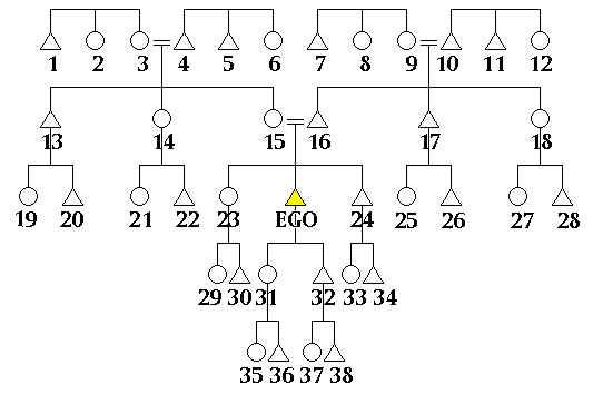 Figure 2: bilateral kindred