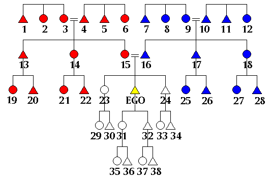 Figure 4: patrilateral vs matrilateral kin