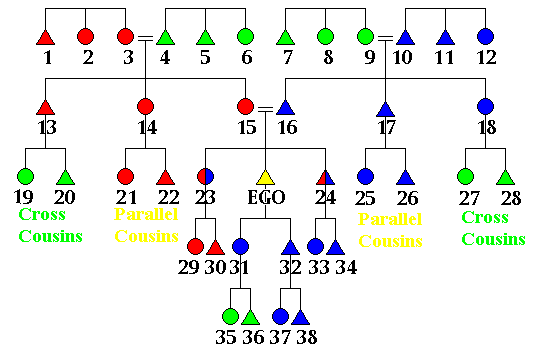 Figure 5: Matrilineal vs Patrilineal Kin