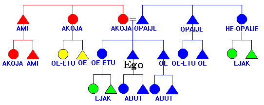 Dani Kin Terms and Patrilineages