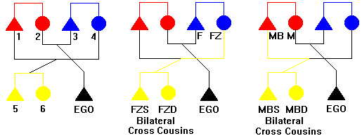 Figure 62: Bilateral Cross 
Cousins 