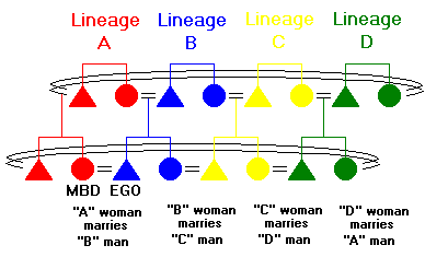 Figure 64: Matrilateral Cross Cousin Marriage, Stage 2