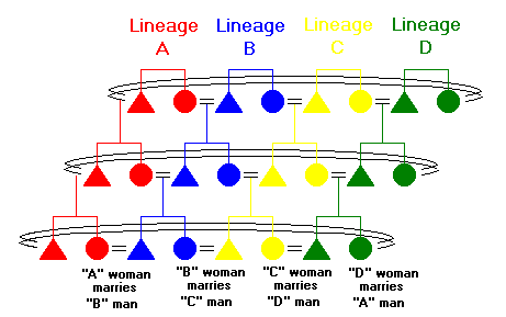 Figure 64: Matrilateral Cross Cousin Marriage, Stage 3