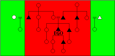Figure 57: Parallel Cousin Marriage Prohibitions