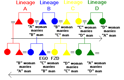 Figure 67: Patrilateral Cross Cousin Marriage, Stage 2