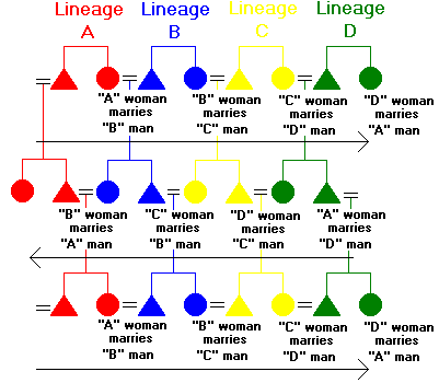 Figure 67: Patrilateral Cross Cousin Marriage, Stage 3